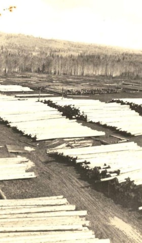 Birds-eye view of Nash Wye yard. (Images are provided for educational and research purposes only. Other use requires permission, please contact the Museum.) thumbnail