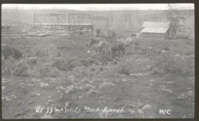J. J. McNeill's stock ranch. (Images are provided for educational and research purposes only. Other use requires permission, please contact the Museum.) thumbnail