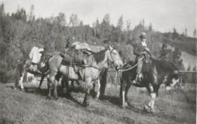 Ed Dieter, with pack horses from Ben Nelson, on route to Cronin mining camp.. (Images are provided for educational and research purposes only. Other use requires permission, please contact the Museum.) thumbnail