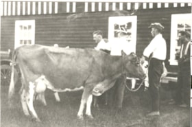 Men with cow. (Images are provided for educational and research purposes only. Other use requires permission, please contact the Museum.) thumbnail