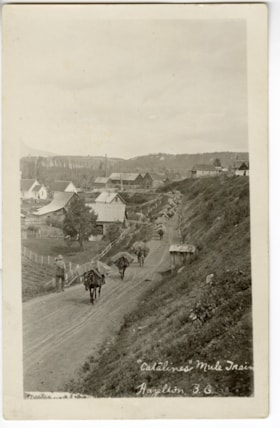 Cataline's mule train, Hazelton, B.C.. (Images are provided for educational and research purposes only. Other use requires permission, please contact the Museum.) thumbnail