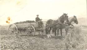 Billy Orchard and unidentified man on cart loaded with potatoes.. (Images are provided for educational and research purposes only. Other use requires permission, please contact the Museum.) thumbnail