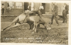 Pack mule fallen on it's side, Hazelton, B.C.. (Images are provided for educational and research purposes only. Other use requires permission, please contact the Museum.) thumbnail