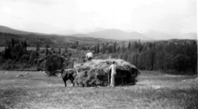 Gathering hay on the Mesich Farm.. (Images are provided for educational and research purposes only. Other use requires permission, please contact the Museum.) thumbnail