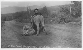 Bull James leaning on his mule.. (Images are provided for educational and research purposes only. Other use requires permission, please contact the Museum.) thumbnail