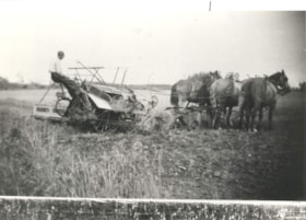 Ole Olson cutting oats.. (Images are provided for educational and research purposes only. Other use requires permission, please contact the Museum.) thumbnail