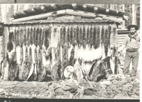 Hanging pelts, Hazelton, B.C.. (Images are provided for educational and research purposes only. Other use requires permission, please contact the Museum.) thumbnail