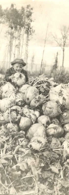 James H. Orchard sitting on a turnip pile. (Images are provided for educational and research purposes only. Other use requires permission, please contact the Museum.) thumbnail