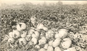 Billy Orchard sits on a pile of turnips. (Images are provided for educational and research purposes only. Other use requires permission, please contact the Museum.) thumbnail