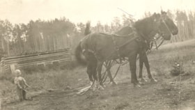 Billy Orchard holding the reins of two horses. (Images are provided for educational and research purposes only. Other use requires permission, please contact the Museum.) thumbnail