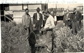 Charley Morris feeds his bear cub. (Images are provided for educational and research purposes only. Other use requires permission, please contact the Museum.) thumbnail