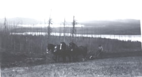 Alex Prudhomme plowing at Round Lake field.. (Images are provided for educational and research purposes only. Other use requires permission, please contact the Museum.) thumbnail