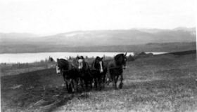 Alex Prudhomme's horse team plowing Round Lake field. (Images are provided for educational and research purposes only. Other use requires permission, please contact the Museum.) thumbnail