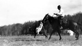 Steer and horse riding at the Telkwa barbeque. (Images are provided for educational and research purposes only. Other use requires permission, please contact the Museum.) thumbnail