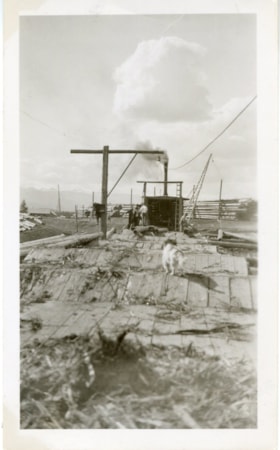 Pole dolly pulling logs over skids. (Images are provided for educational and research purposes only. Other use requires permission, please contact the Museum.) thumbnail