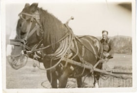 William Billeter working on his farm. (Images are provided for educational and research purposes only. Other use requires permission, please contact the Museum.) thumbnail
