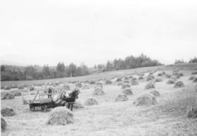 Billeter Farm hay field. (Images are provided for educational and research purposes only. Other use requires permission, please contact the Museum.) thumbnail