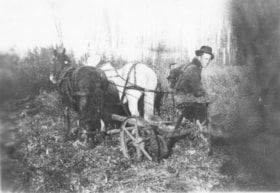 [William Billeter?] sitting on a mower drawn by two horses. (Images are provided for educational and research purposes only. Other use requires permission, please contact the Museum.) thumbnail