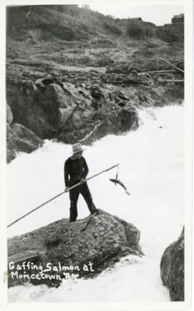 Gaffing salmon at Widzin Kwah Canyon. (Images are provided for educational and research purposes only. Other use requires permission, please contact the Museum.) thumbnail