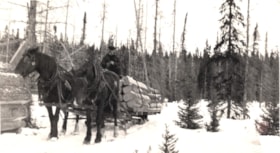 Hauling ties out of the bush by horse. (Images are provided for educational and research purposes only. Other use requires permission, please contact the Museum.) thumbnail