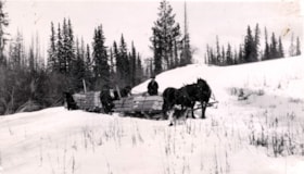 Hauling ties out of the bush by horse. (Images are provided for educational and research purposes only. Other use requires permission, please contact the Museum.) thumbnail