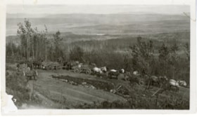 Cargo convoy down the switch backs of Hudson Bay Mountain. (Images are provided for educational and research purposes only. Other use requires permission, please contact the Museum.) thumbnail