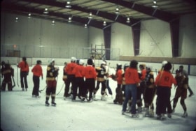 Houston and Stewart women's hockey teams shaking hands. (Images are provided for educational and research purposes only. Other use requires permission, please contact the Museum.) thumbnail