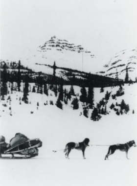 Jack Lee's sled dogs near Mount Gunanoot.. (Images are provided for educational and research purposes only. Other use requires permission, please contact the Museum.) thumbnail