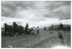 Harvesting at unidentified farm. (Images are provided for educational and research purposes only. Other use requires permission, please contact the Museum.) thumbnail