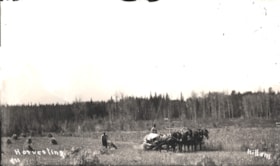 Harvesting a crop at Sealy Ranch. (Images are provided for educational and research purposes only. Other use requires permission, please contact the Museum.) thumbnail