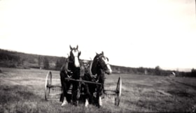Bill Miller on a horse drawn plow.. (Images are provided for educational and research purposes only. Other use requires permission, please contact the Museum.) thumbnail