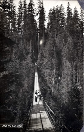 Capilano suspension bridge near North Vancouver.. (Images are provided for educational and research purposes only. Other use requires permission, please contact the Museum.) thumbnail