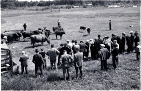 Experimental farm field day. (Images are provided for educational and research purposes only. Other use requires permission, please contact the Museum.) thumbnail