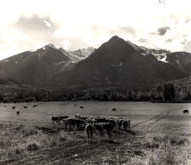 Farm scene near Smithers, B.C.. (Images are provided for educational and research purposes only. Other use requires permission, please contact the Museum.) thumbnail