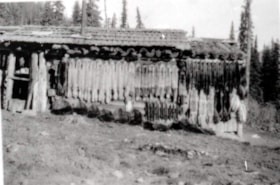 Hanging pelts. (Images are provided for educational and research purposes only. Other use requires permission, please contact the Museum.) thumbnail