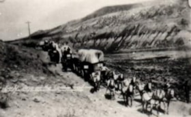 Hauling freight from Ashcroft to Barkerville. (Images are provided for educational and research purposes only. Other use requires permission, please contact the Museum.) thumbnail