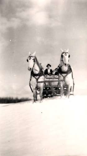 Adeline Brown driving a sleigh. (Images are provided for educational and research purposes only. Other use requires permission, please contact the Museum.) thumbnail