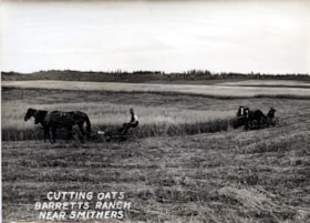 Cutting oats at Barretts Ranch. (Images are provided for educational and research purposes only. Other use requires permission, please contact the Museum.) thumbnail