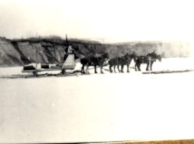 Six draft horses pulling a sled. (Images are provided for educational and research purposes only. Other use requires permission, please contact the Museum.) thumbnail