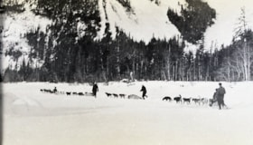 Four dog teams. (Images are provided for educational and research purposes only. Other use requires permission, please contact the Museum.) thumbnail