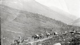 Pack train on telegraph line north of Hazelton. (Images are provided for educational and research purposes only. Other use requires permission, please contact the Museum.) thumbnail