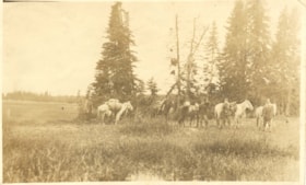 Four men with pack horses. (Images are provided for educational and research purposes only. Other use requires permission, please contact the Museum.) thumbnail