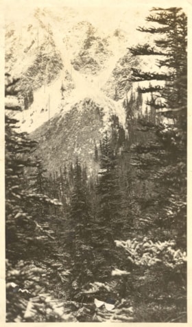 Forest and mountainside. (Images are provided for educational and research purposes only. Other use requires permission, please contact the Museum.) thumbnail