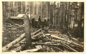 Buildings at a logging camp. (Images are provided for educational and research purposes only. Other use requires permission, please contact the Museum.) thumbnail