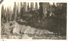 Beirnes Creek, upper seam. (Images are provided for educational and research purposes only. Other use requires permission, please contact the Museum.) thumbnail