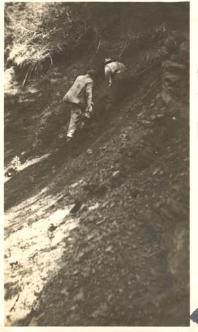 Beirnes Creek, second upper seam. (Images are provided for educational and research purposes only. Other use requires permission, please contact the Museum.) thumbnail
