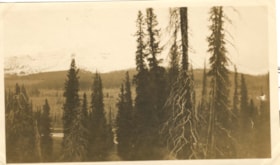Beirnes Creek, Section 18. (Images are provided for educational and research purposes only. Other use requires permission, please contact the Museum.) thumbnail