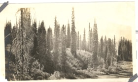 Blackwater Lake. (Images are provided for educational and research purposes only. Other use requires permission, please contact the Museum.) thumbnail