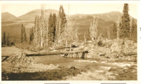 Forks of the Upper Skeena river. (Images are provided for educational and research purposes only. Other use requires permission, please contact the Museum.) thumbnail