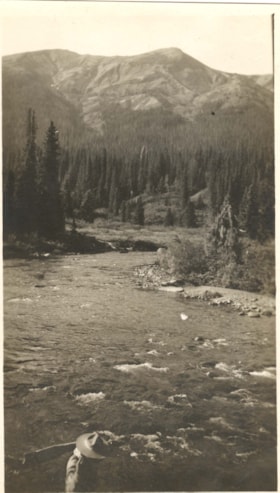 Beirnes Creek. (Images are provided for educational and research purposes only. Other use requires permission, please contact the Museum.) thumbnail